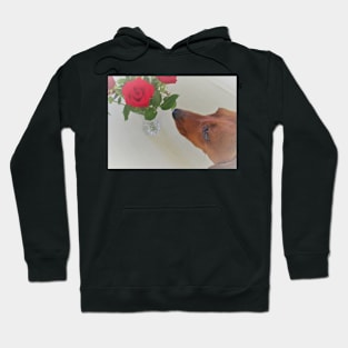 Smelling the roses Hoodie